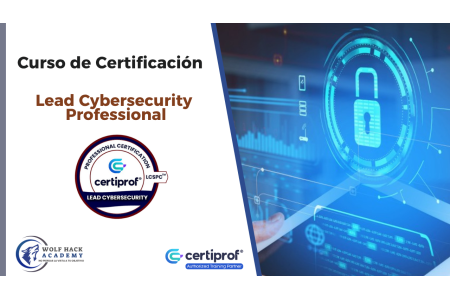 Lead Cybersecurity Professional