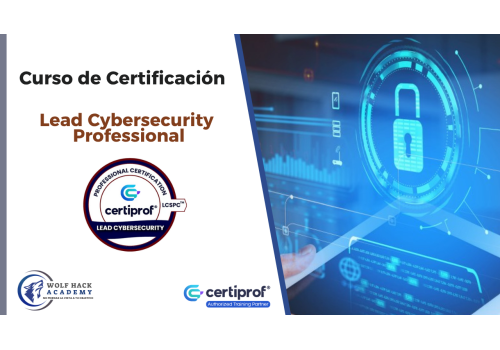 Lead Cybersecurity Professional