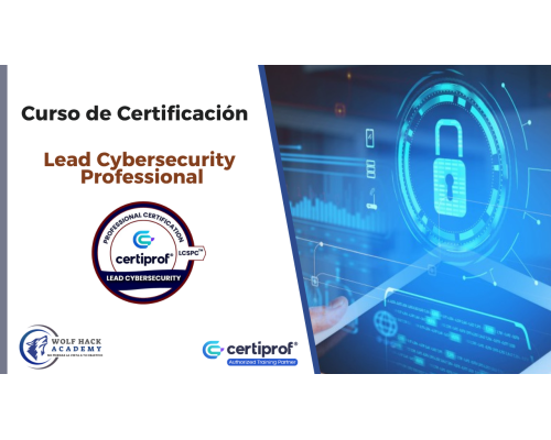 Lead Cybersecurity Professional
