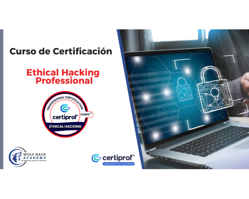 Ethical Hacking Professional