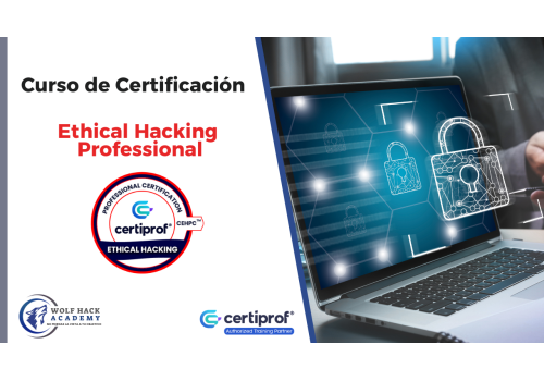 Ethical Hacking Professional