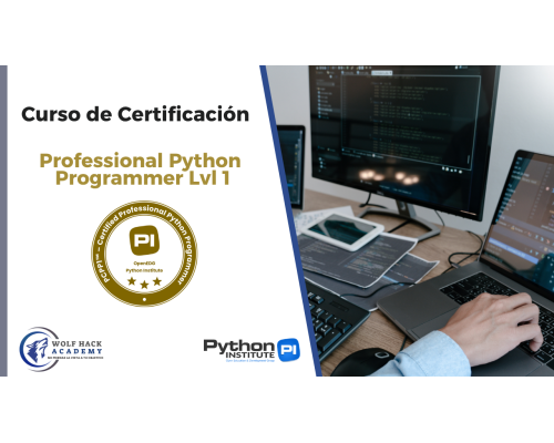 Professional Python Programmer