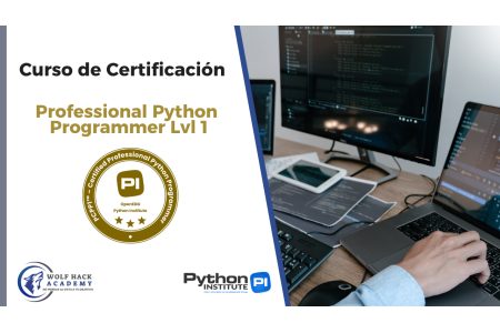 Professional Python Programmer