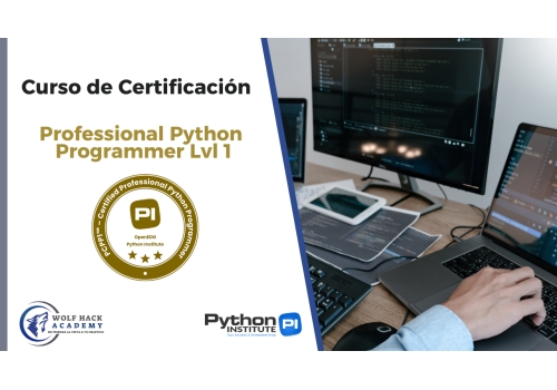 Professional Python Programmer