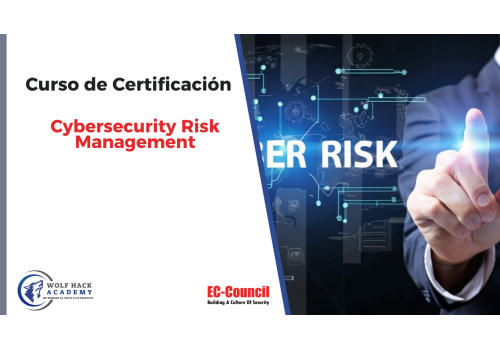 Cybersecurity Risk Management