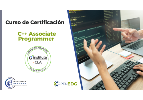 Professional C++ Programmer