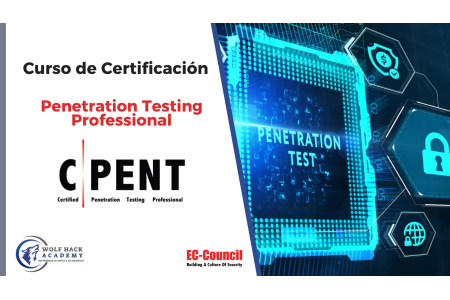 Penetration Testing Professional