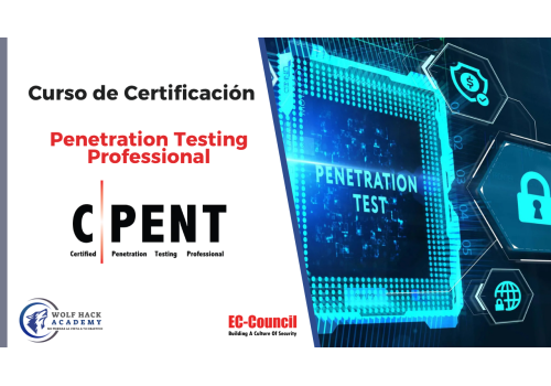 Penetration Testing Professional