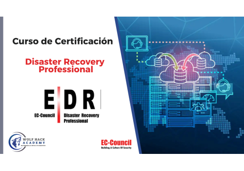 Disaster Recovery Professional