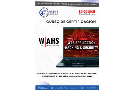 Curso y CertificaciónWeb Application Hacking &amp; Security